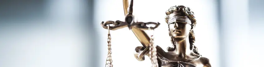banner image
