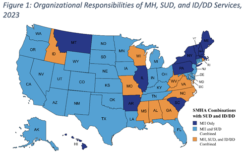 Organizational Responsibilities of MH, SUD and ID/DD Services, 2023
